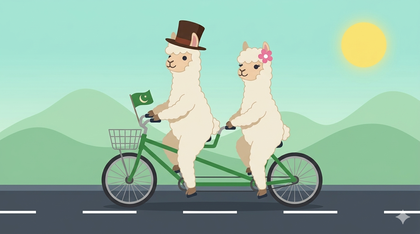 Alpacas en bicicleta